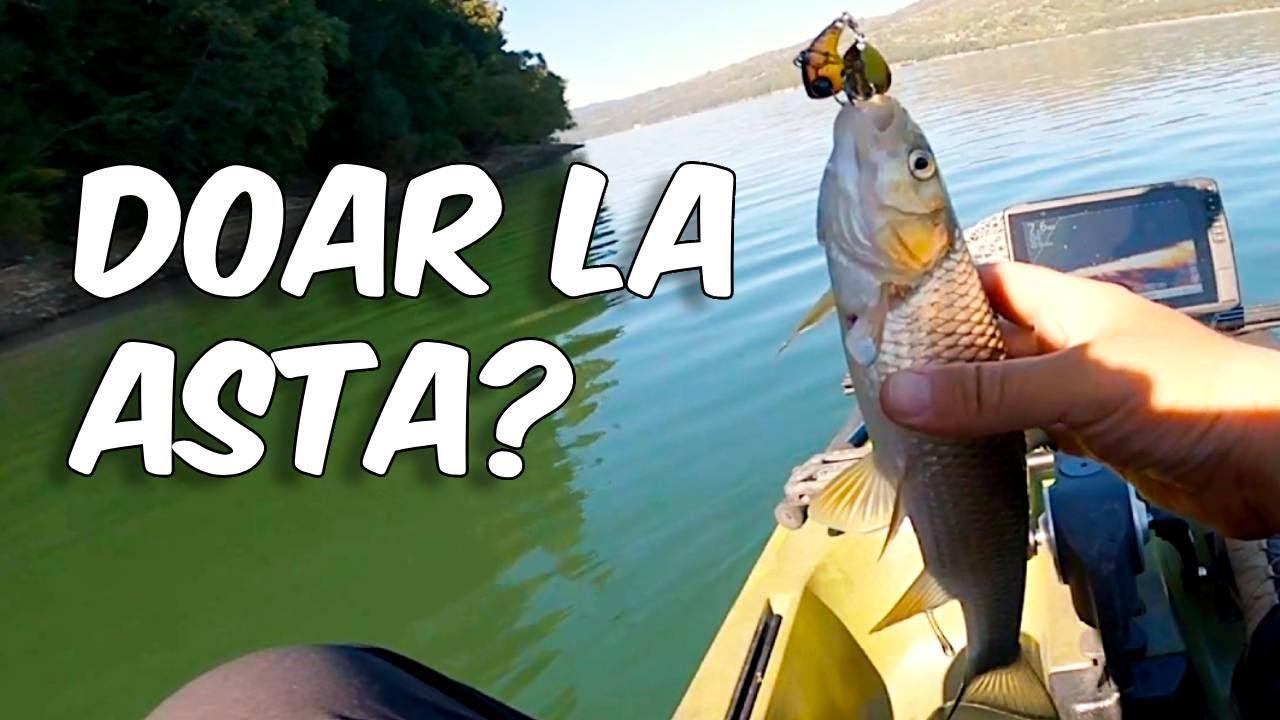 Pescuit la Clean si Biban pe BICAZ la sfarsit de Septembrie | Bibani la Kil