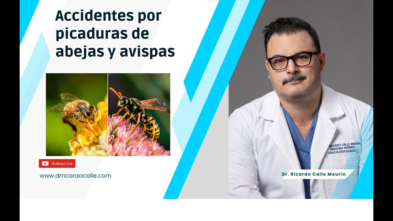 Toxicidad en Picaduras de Abejas y Avispas  | Anafilaxia y Toxicidad