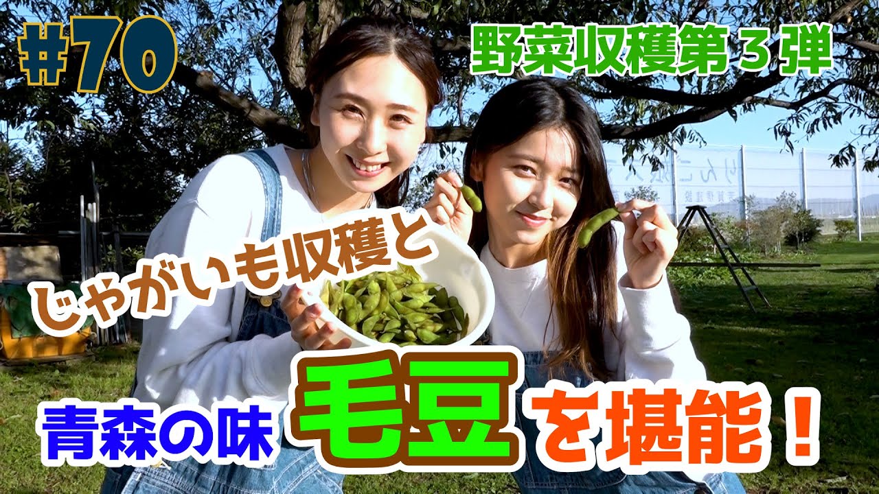 #70『RINGOMUSUMEの産地直送 日本最高!!』じゃがいも収穫と毛豆を堪能