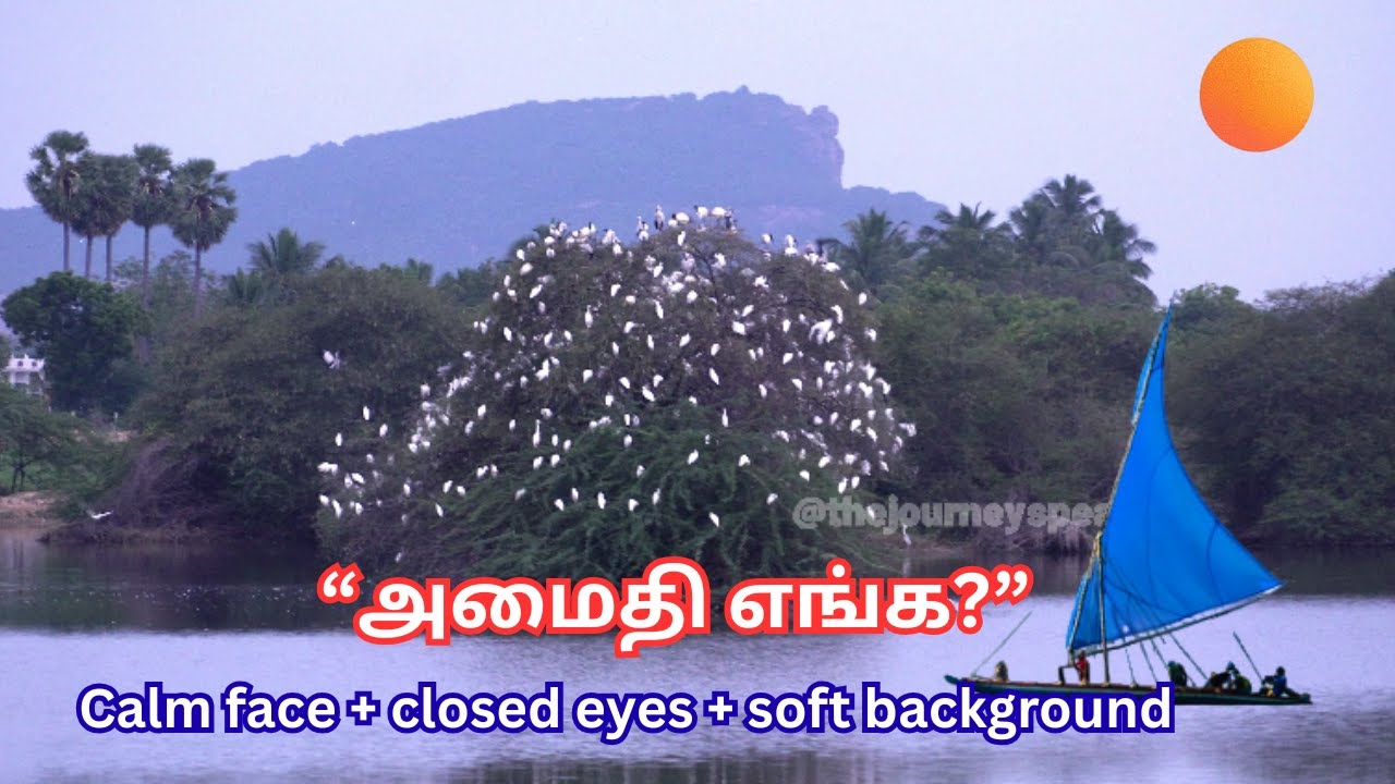 மன அமைதி வெளியில் இல்லை… அது இங்கே தான்! | Meditation Tamil #thejourneyspeaks