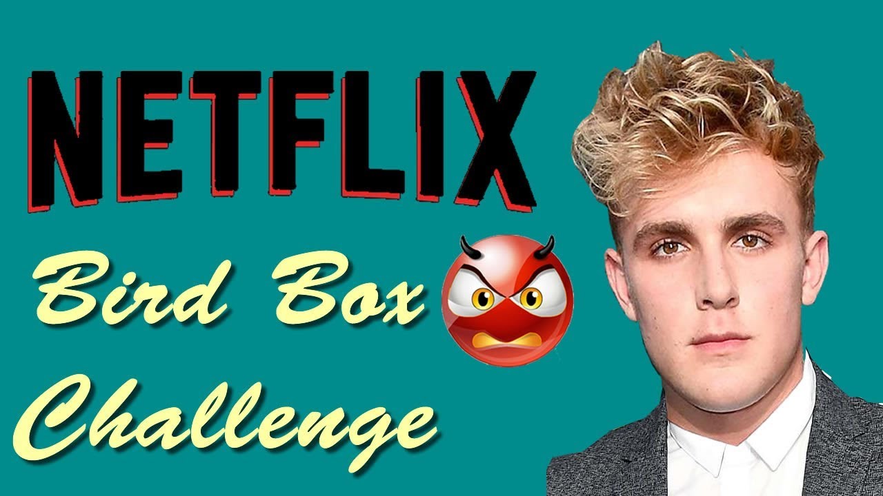 Netflix reaction on jake paul Bird Box Challenge | #BirdBoxChallenge by G-one Youtube