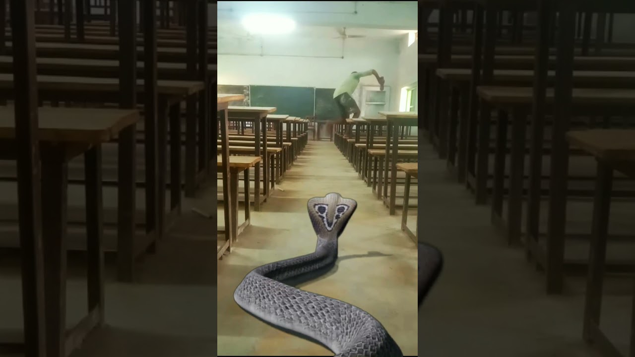 anaconda snake 3 in real life | funny vfx magic video !! (part 247) 