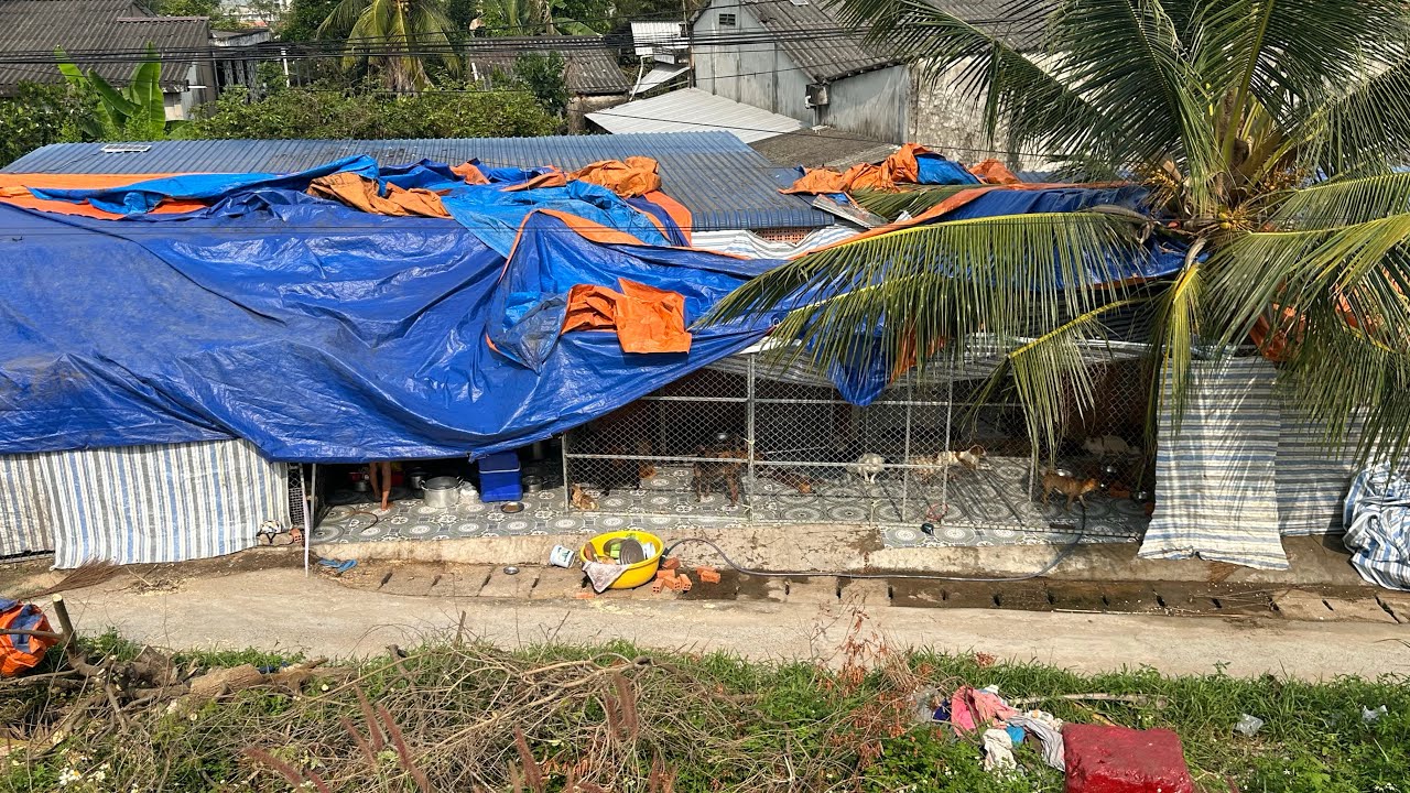 Đâu đó vẫn còn người phụ nữ buôn bỏ tấtcả thú vui và sự hào quan của SG lủi thủi 1 mình nuôi tụi nhỏ