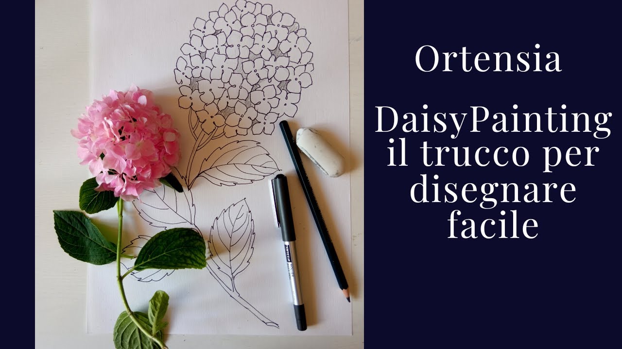 Disegnare una ortensia in modo facile