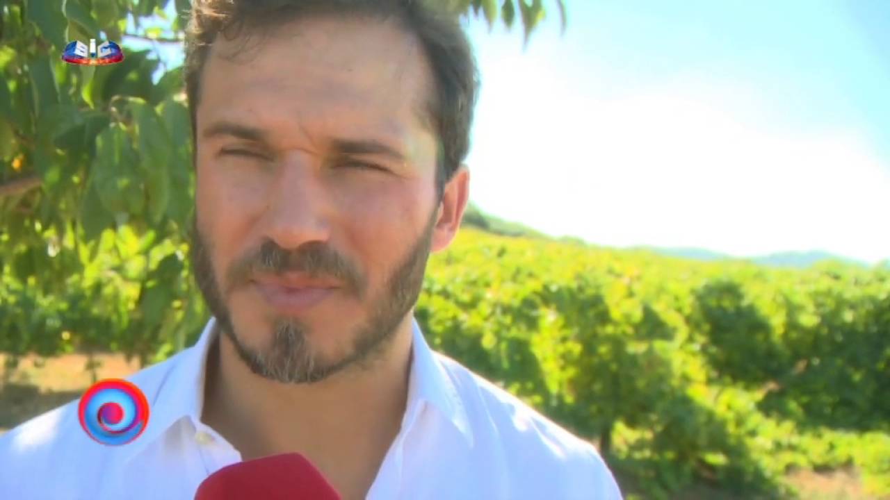 SIC | E Especial | Paulo Rocha Embaixador dos Vinhos da Pen&iacute;nsula de Set&uacute;bal no Brasil