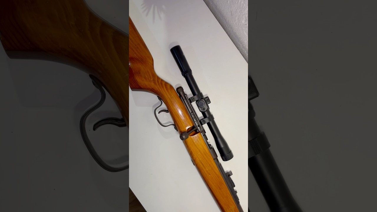 Rifle .22 monotiro mira 4x20