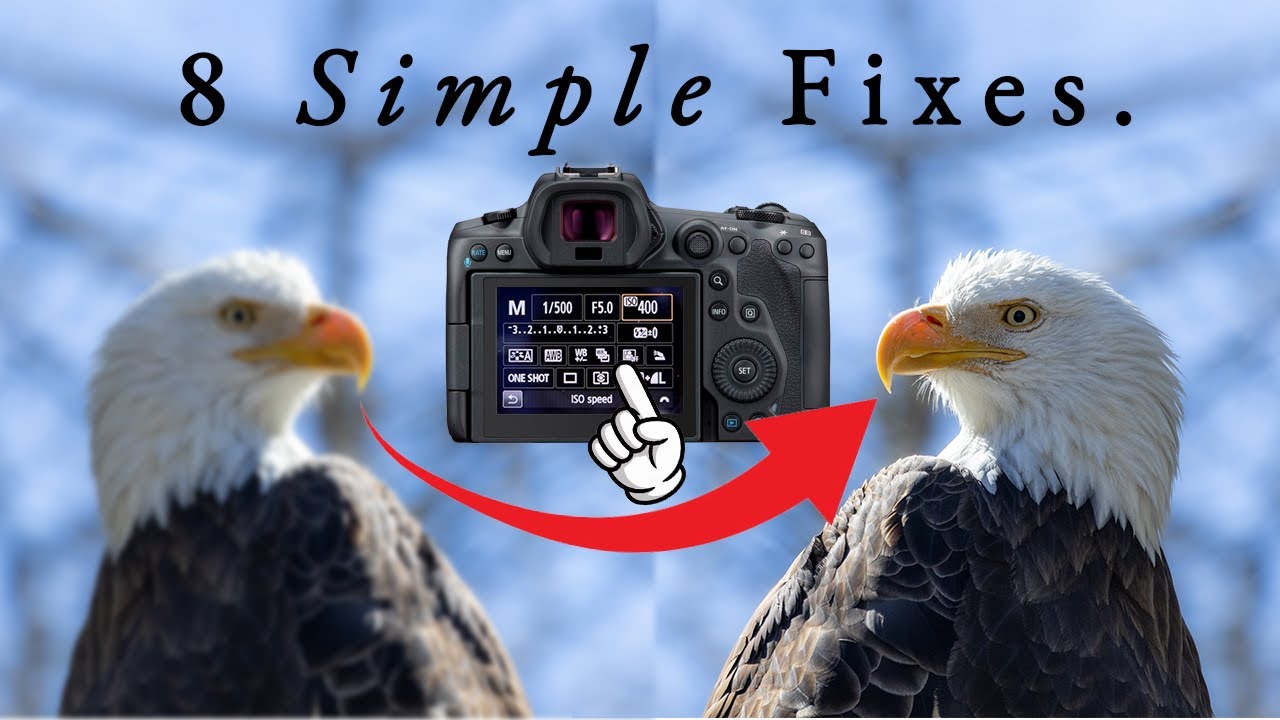 8 Reasons Your Photos Are Not Sharp (FIX THIS NOW)