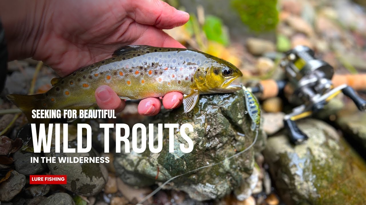 I will NEVER bring people here! BFS Fishing for Wild Brown Trout Deep in The Mountain Wilderness