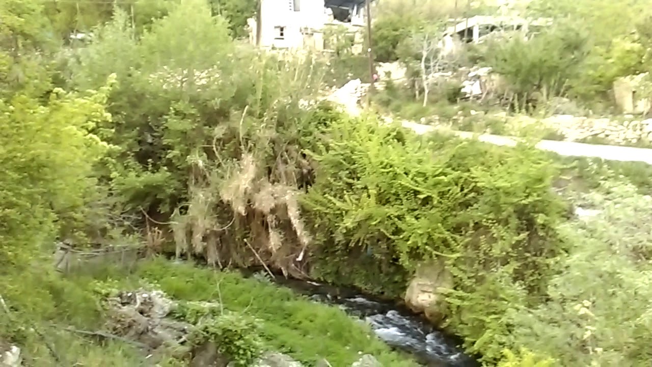Mut mersin pamuklu köyü Mustafa yıldız