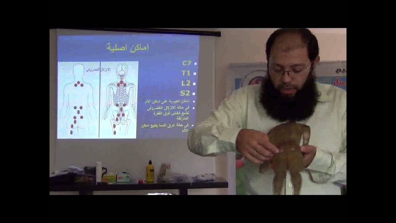 Alhijama_Cupping (32) دورة الحجامة_د محمود الشعراوى
