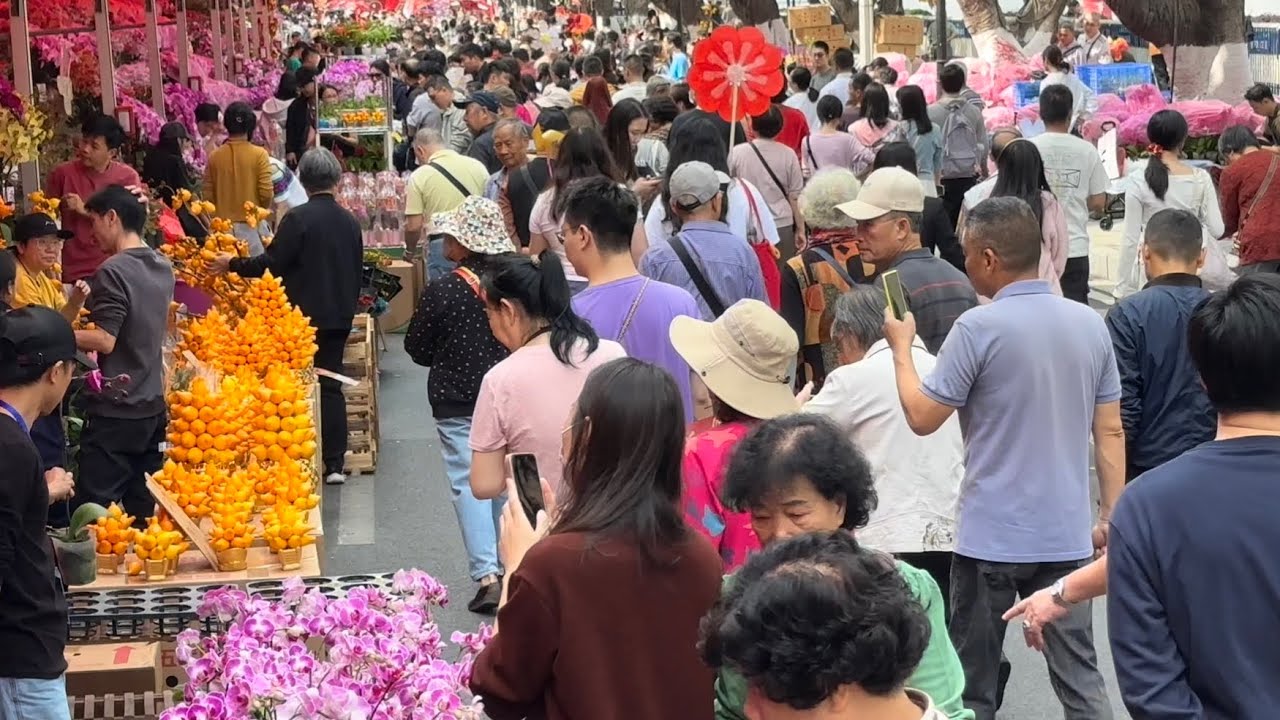 廣州春節民俗大集，海珠濱江花市盛況 