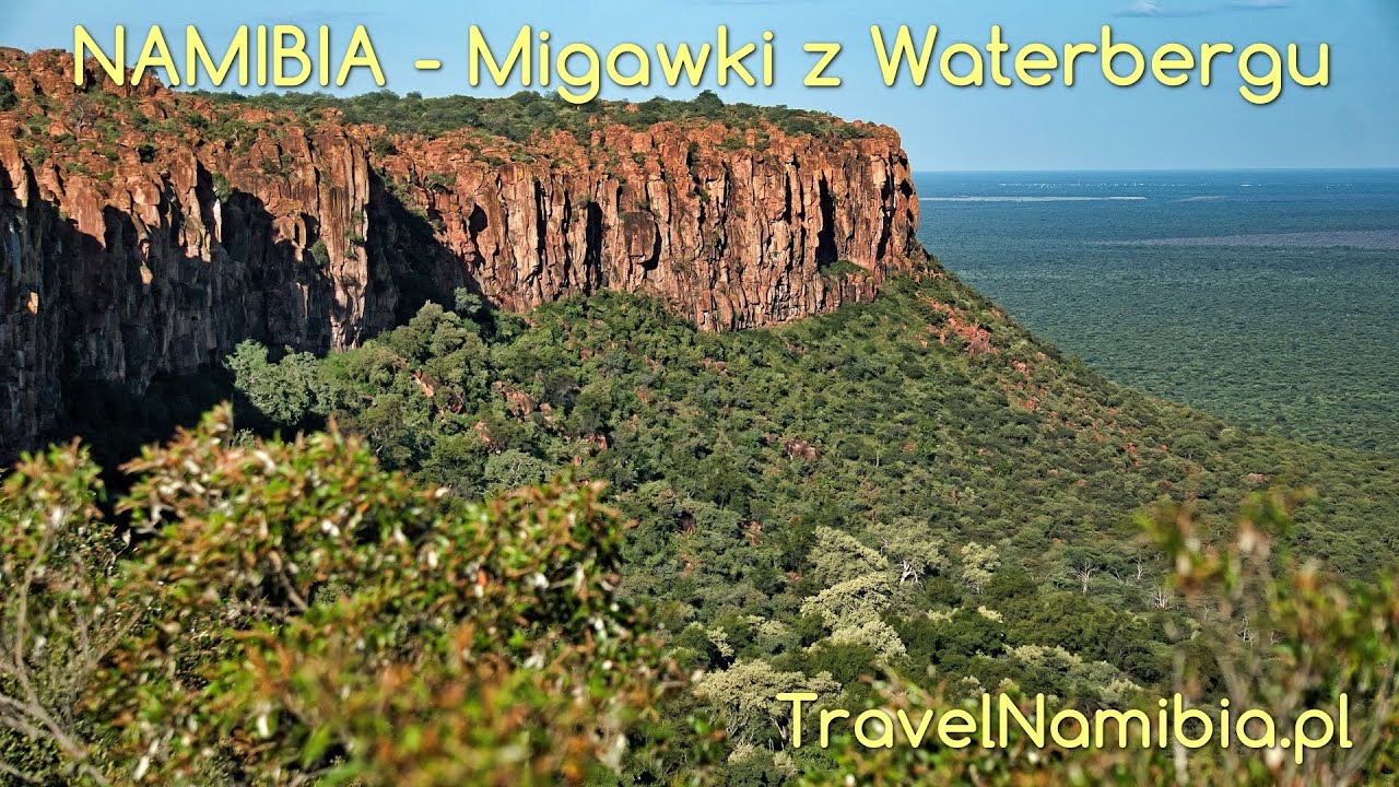 NAMIBIA - Migawki z Waterbergu