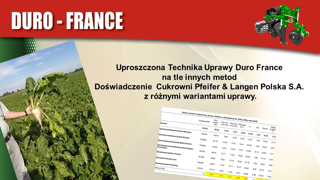 Doświadczenie - burak cukrowy - 2020