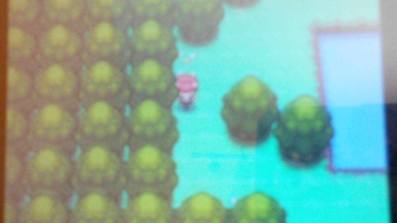 Pokemon platine comment avoir manaphy dans le pokedex