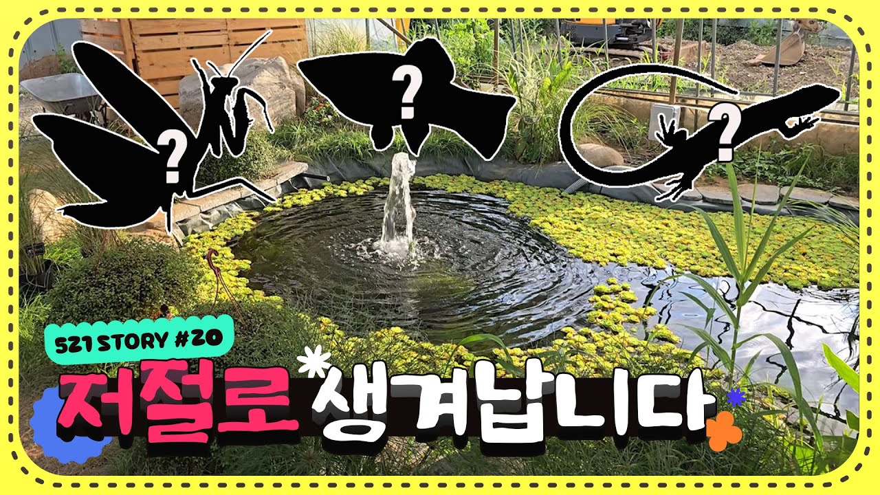 하우스에 연못 만들었더니 계속해서 생물들이 생겨납니다