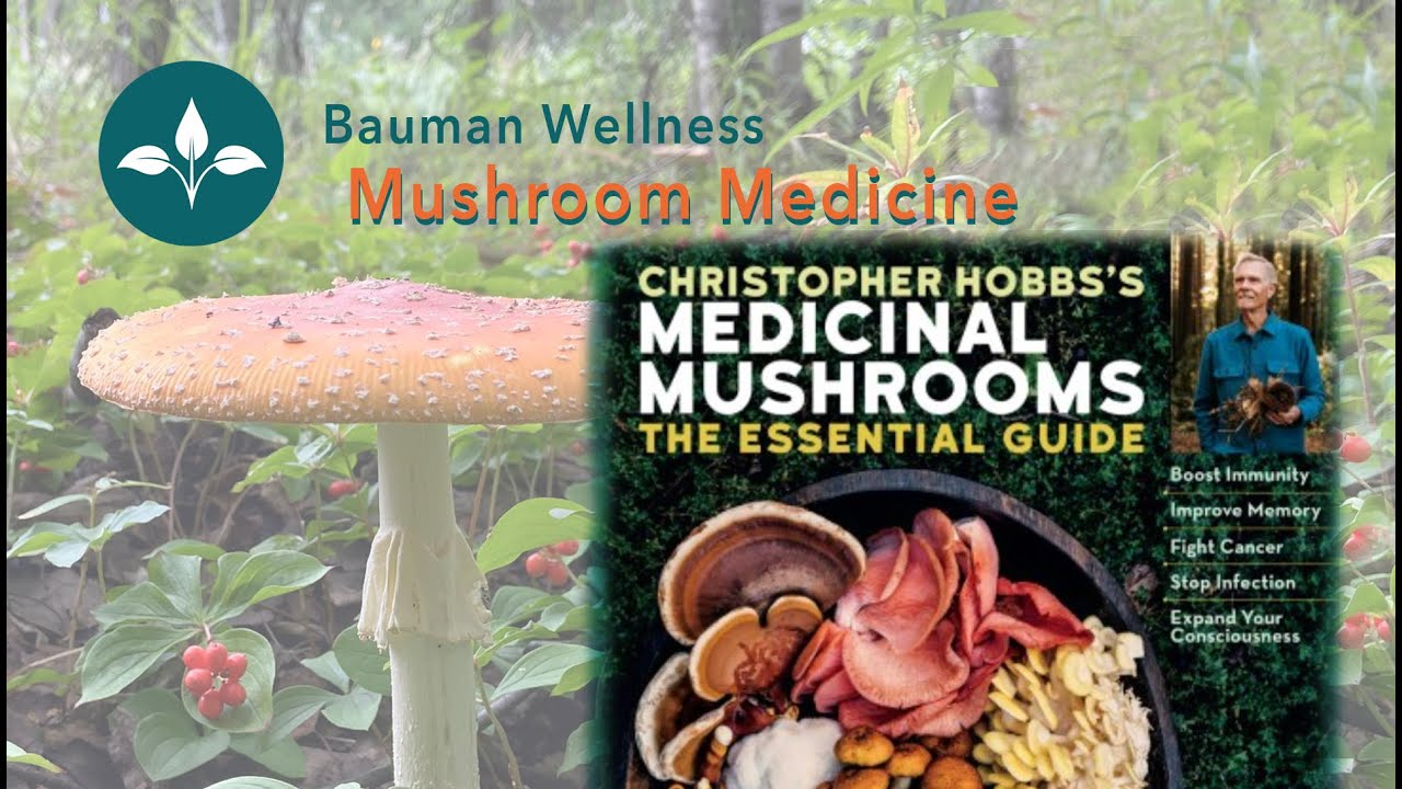 Mushroom Medicine