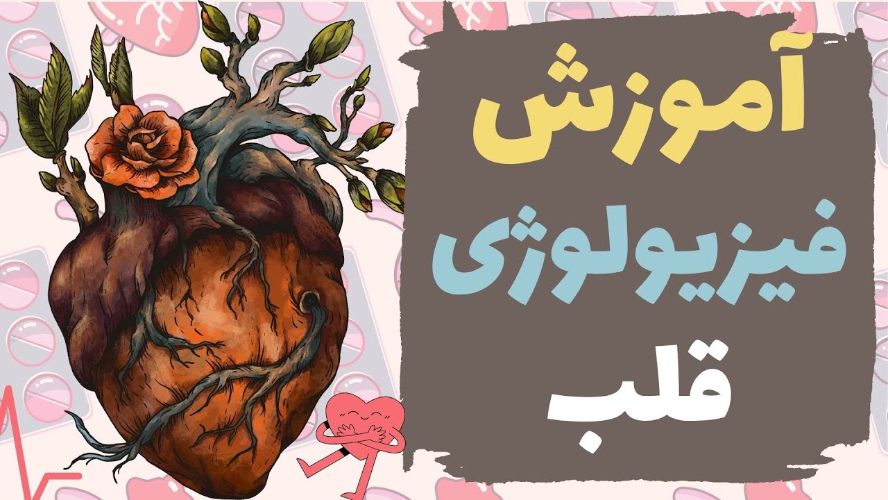 آموزش فیزیولوژی قلب❤️ | براساس فیزیولوژی گایتون