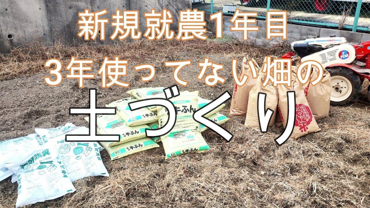 新規就農者1年目が土づくりやってみた　#土づくり 　#現代農業  #有機農業