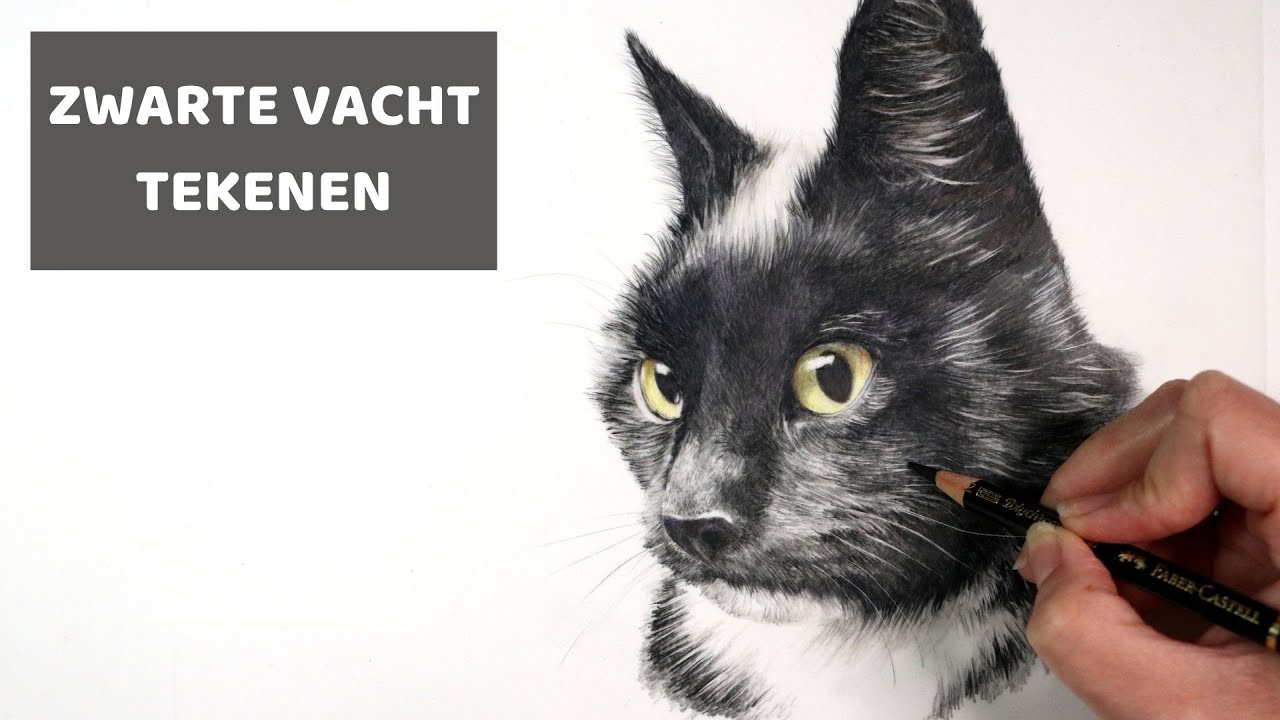 Hoe teken je zwarte vacht? Kleurpotlood tutorial | LEREN TEKENEN voor beginners