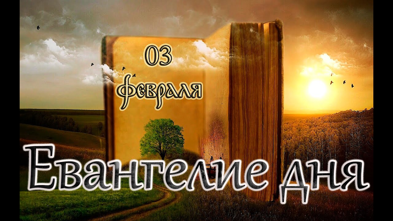 Апостол, Евангелие и Святые дня. Прп. Максима Грека (1556). (03.02.26)