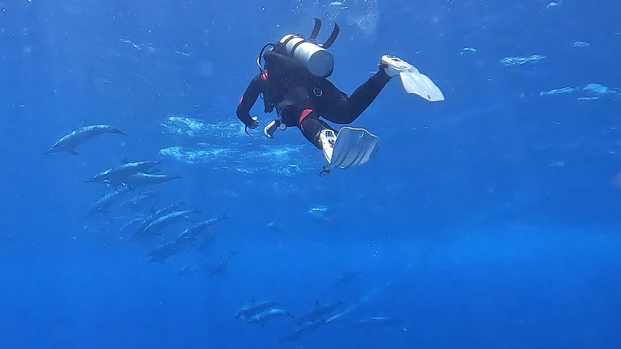 CROCIERA ALLE MALDIVE: SUVADIVA