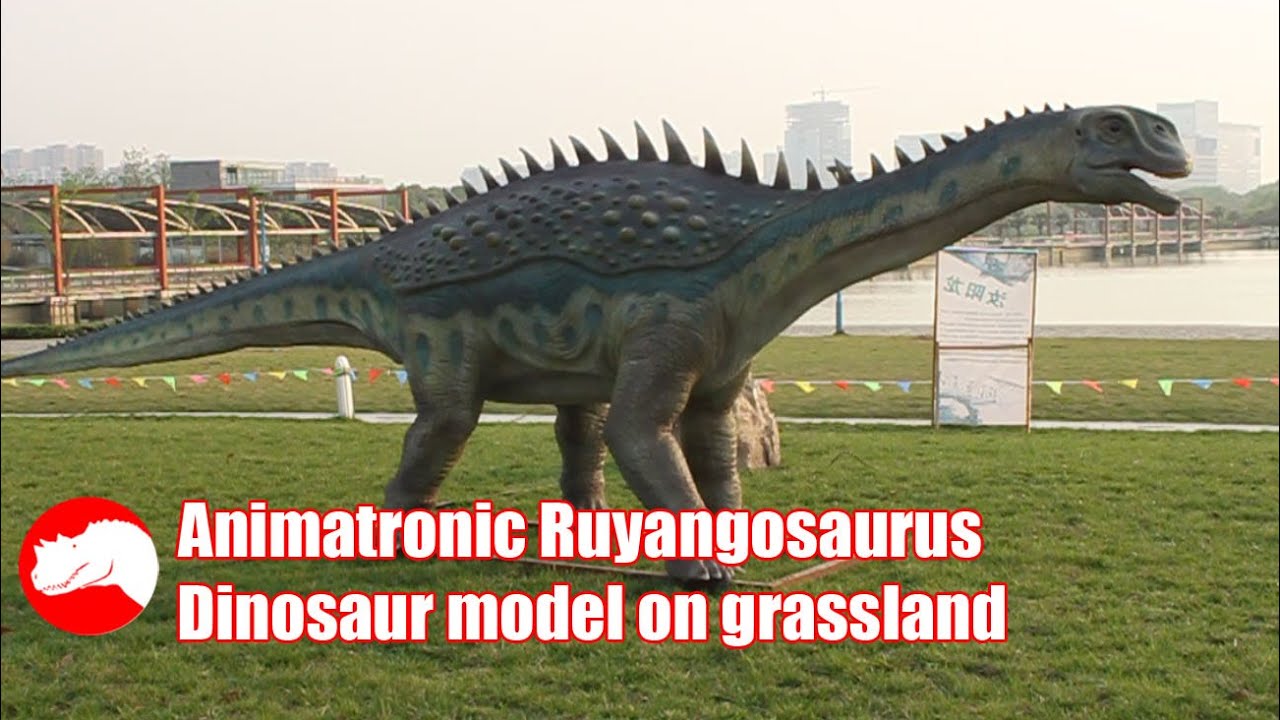 Full Size Ruyangosaurus Exhibits - Dinosaur Model for Grassland