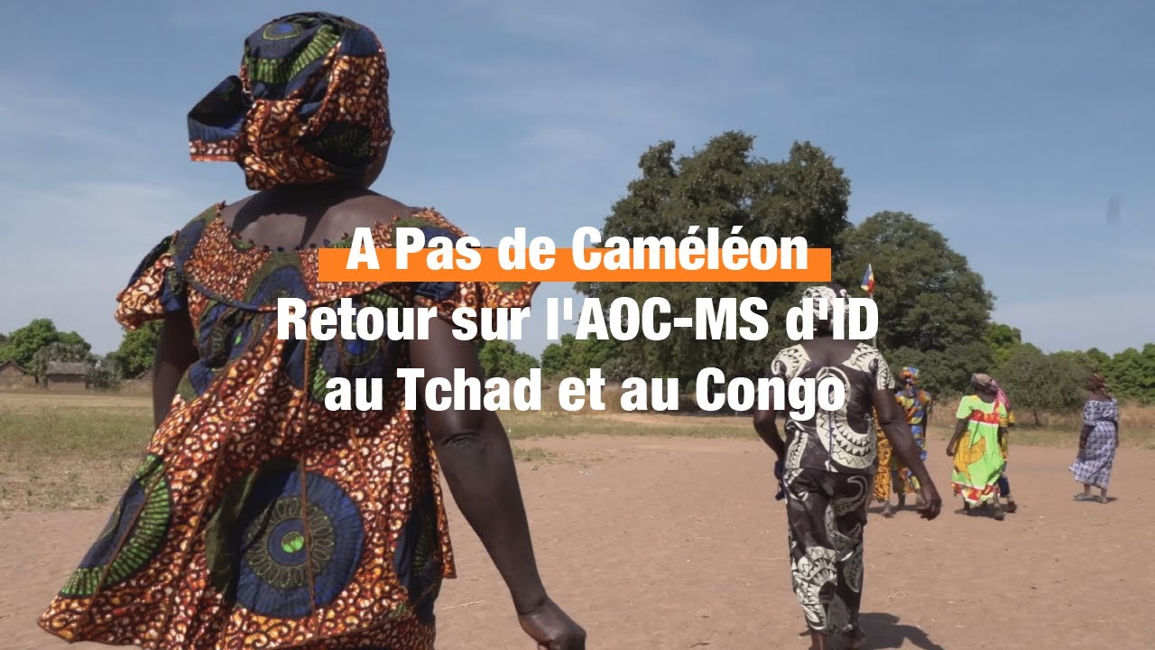 A Pas de Caméléon, retour sur l'AOC-MS d'ID au Tchad et au Congo