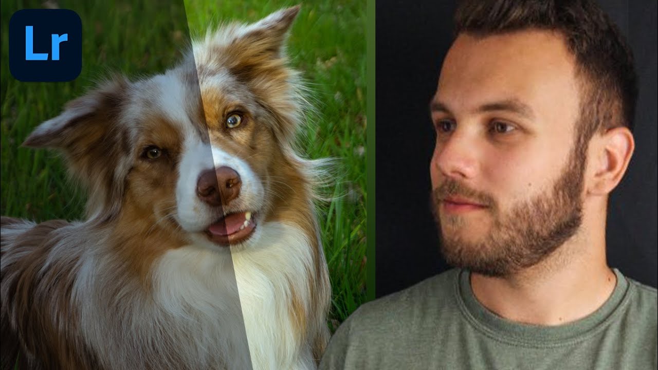 Nauč Se UPRAVOVAT Fotky v LIGHTROOMU! Pro Začátečníky