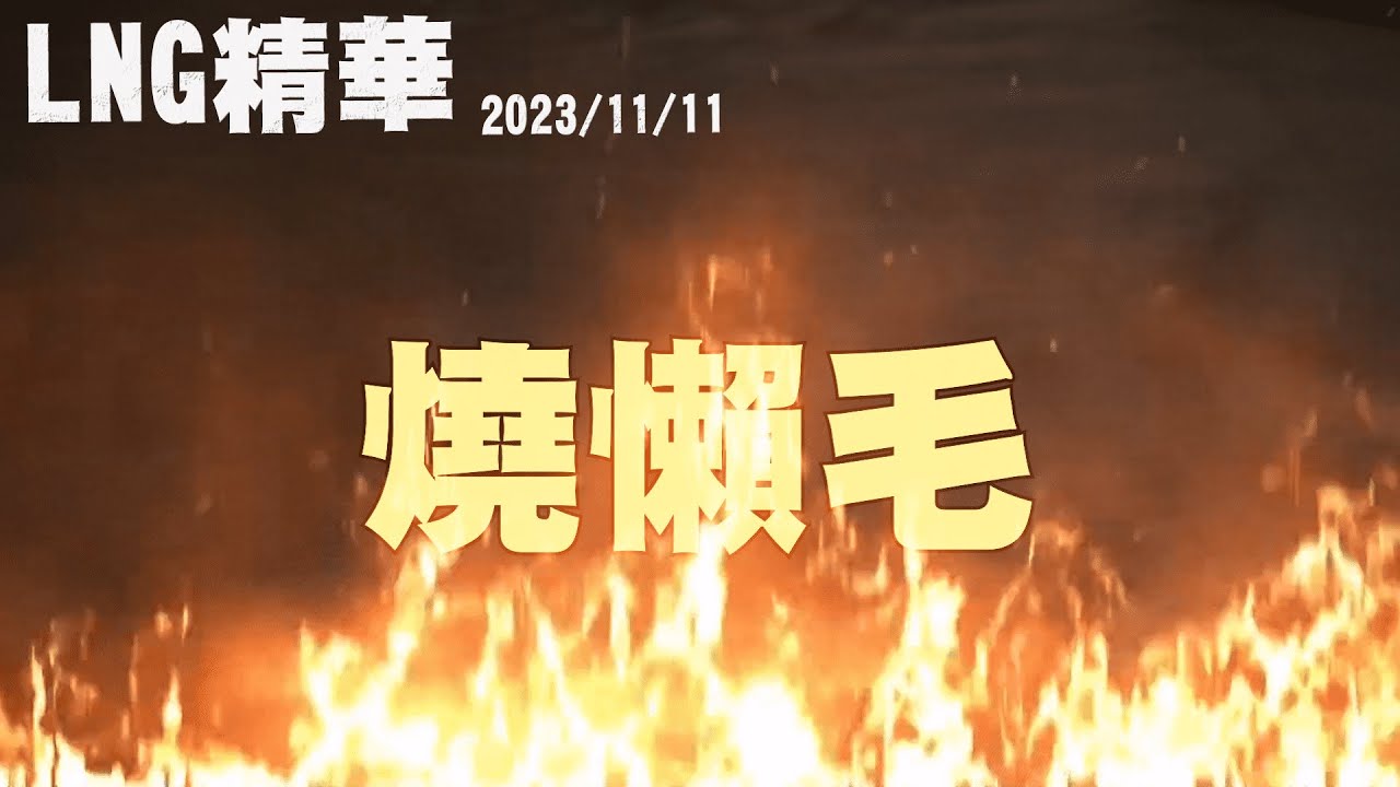 【LNG精華】燒懶毛