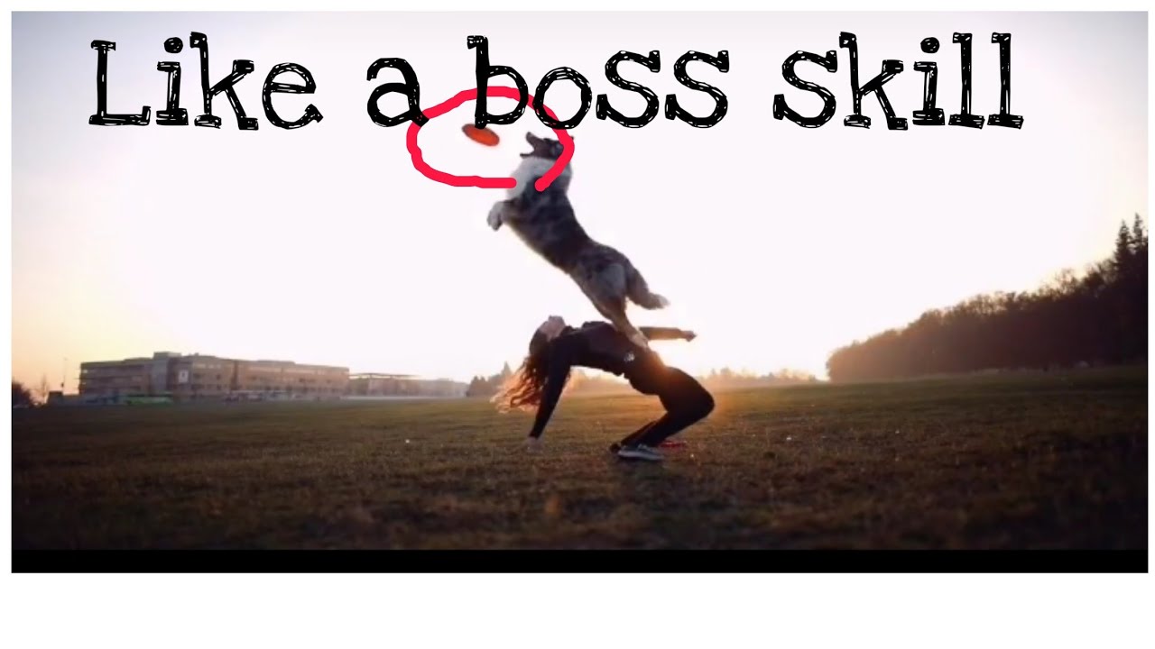 Tik Tok Like A Boss Skill Compilation | Amazing Skills