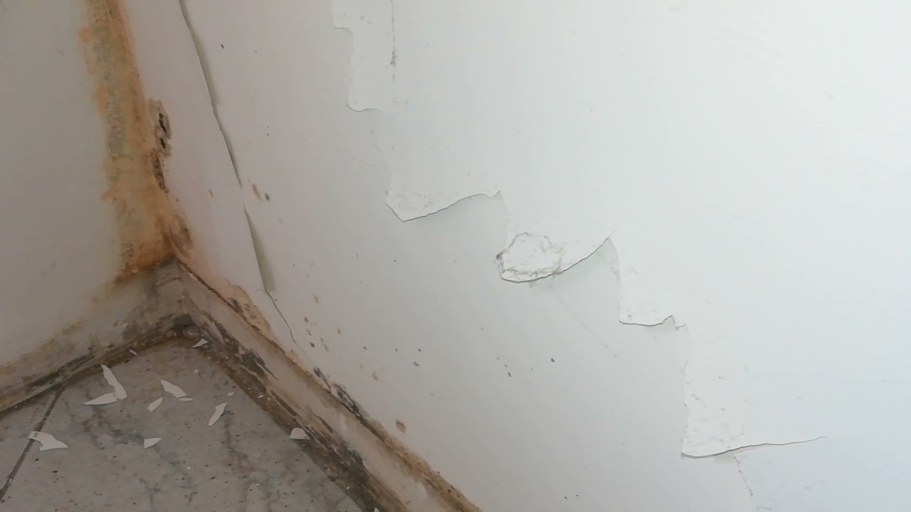 Pittura Termica Antimuffa? Perch&eacute; non funziona