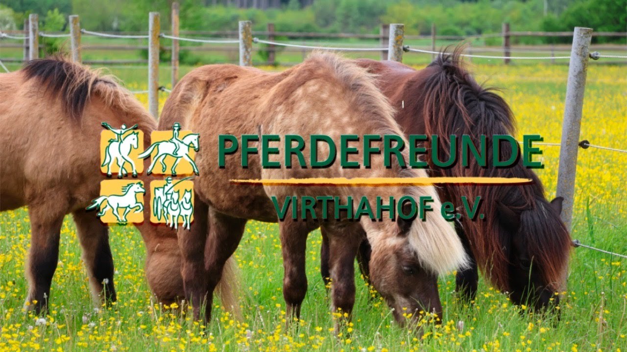 Reitschule der Pferdefreunde Virthahof e.V.