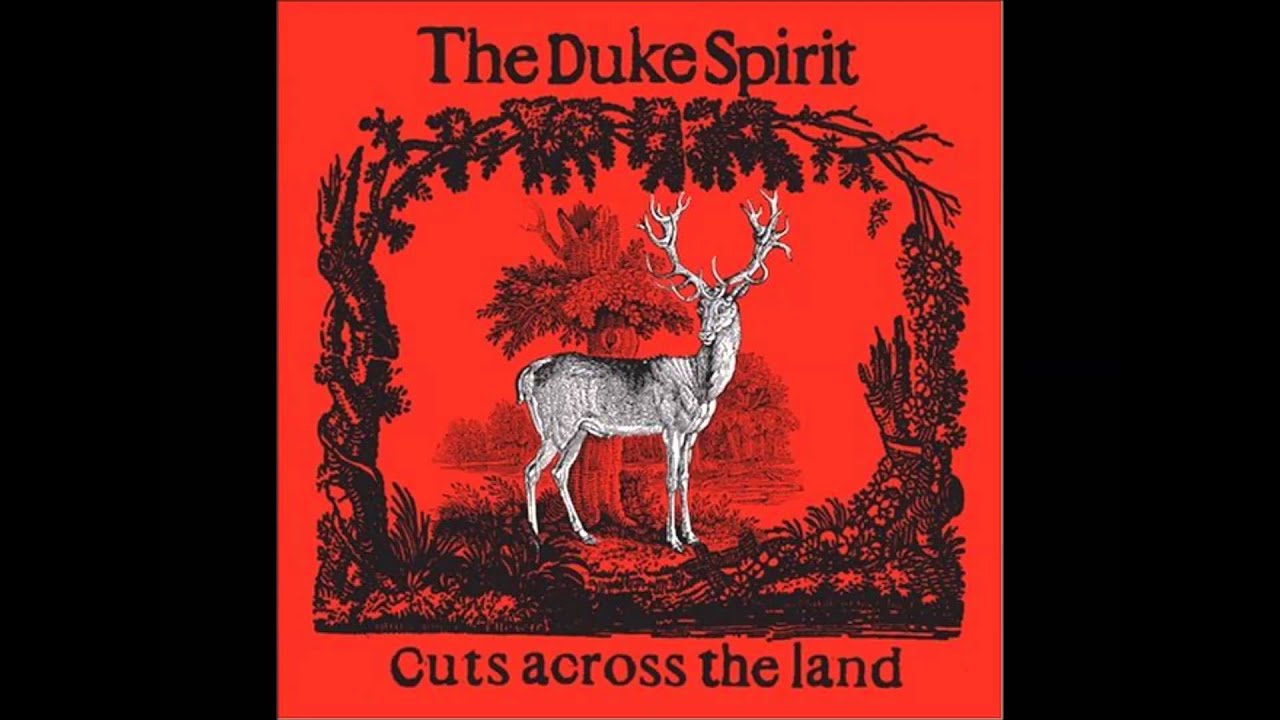 The Duke Spirit - Bottom of the Sea