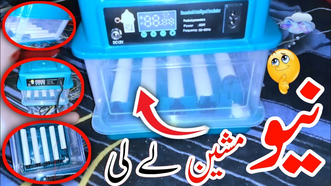 Pehle Bar Incubator Leya  Hm ny 🤩|Chicken Incubator Machine| Waqar Mughal Vlog