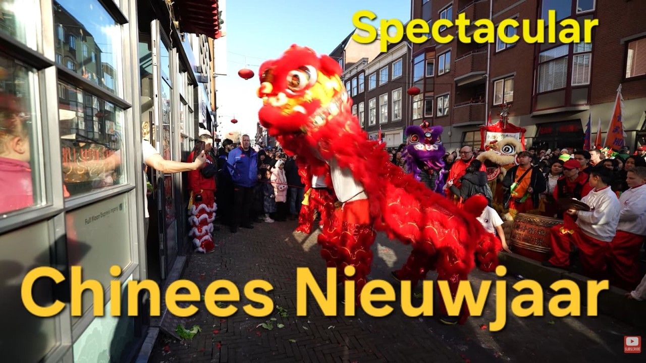 Chinees nieuwjaar denhaag 💥Draken feest💥 's-Gravenhage💥