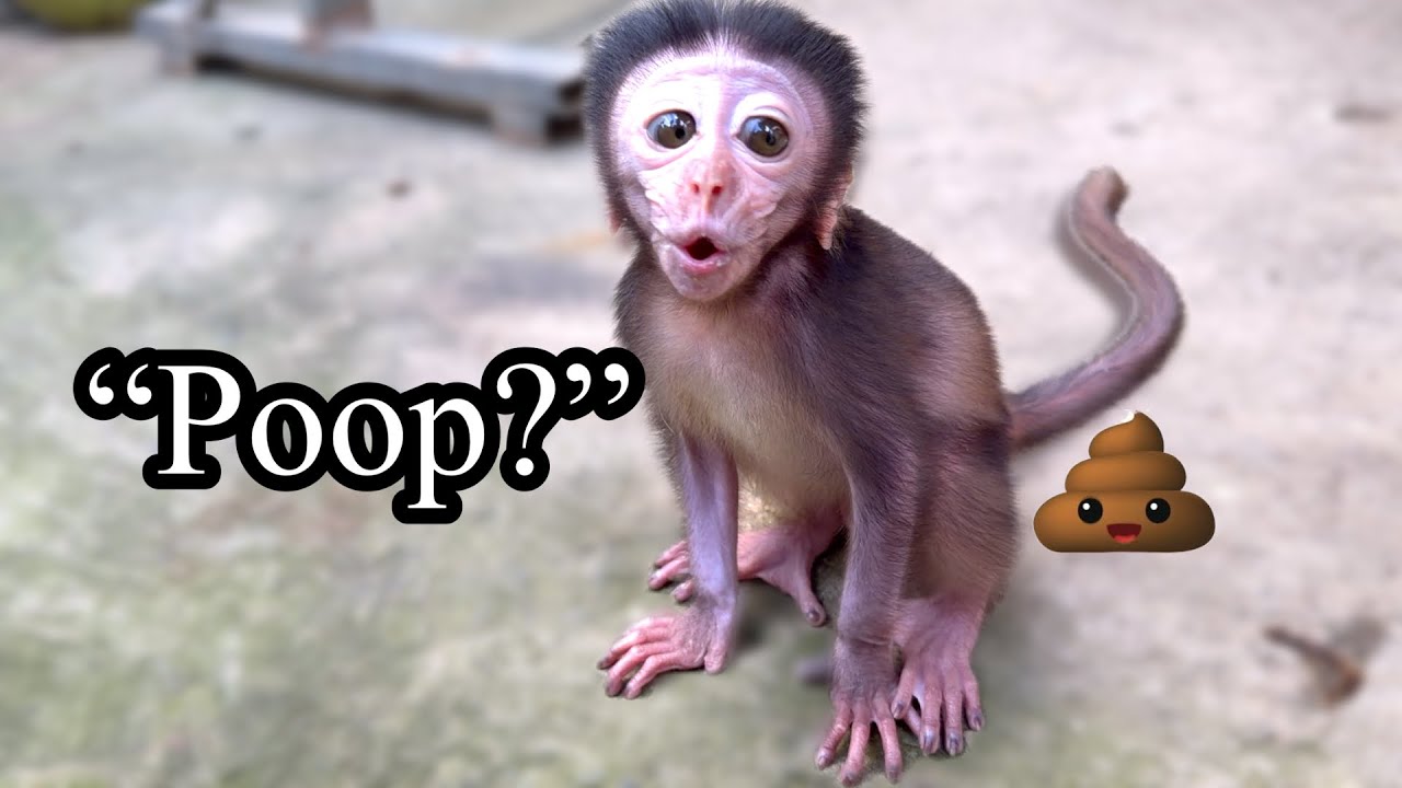 She Panicked After Poop… Then Mom Fixed Everything