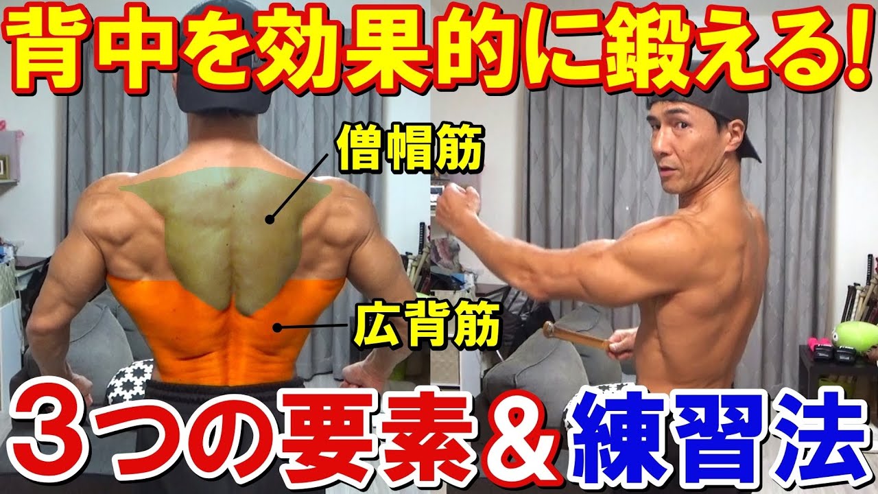 背中のトレーニングで広背筋や僧帽筋を鍛える為に必要な3つの要素！フォーム習得に効果的な練習法も解説！