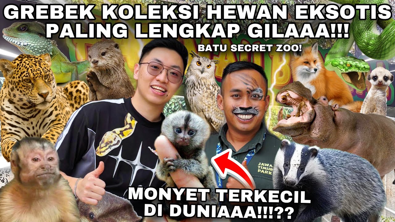 SEGALA JENIS HEWAN UNIK EKSOTIS ADA DISINI! GREBEK BATU SECRET ZOO JATIM PARK 2 KOLEKSINYA GILA!