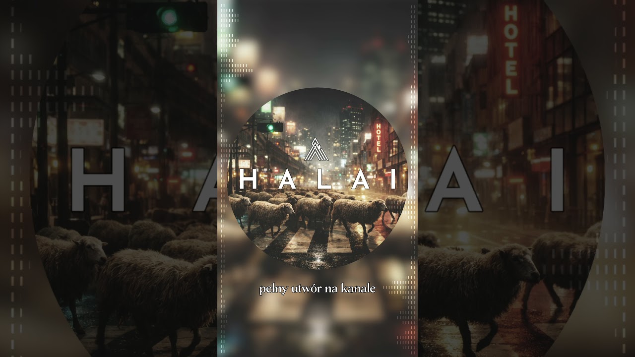 Owce uciekły do miasta  