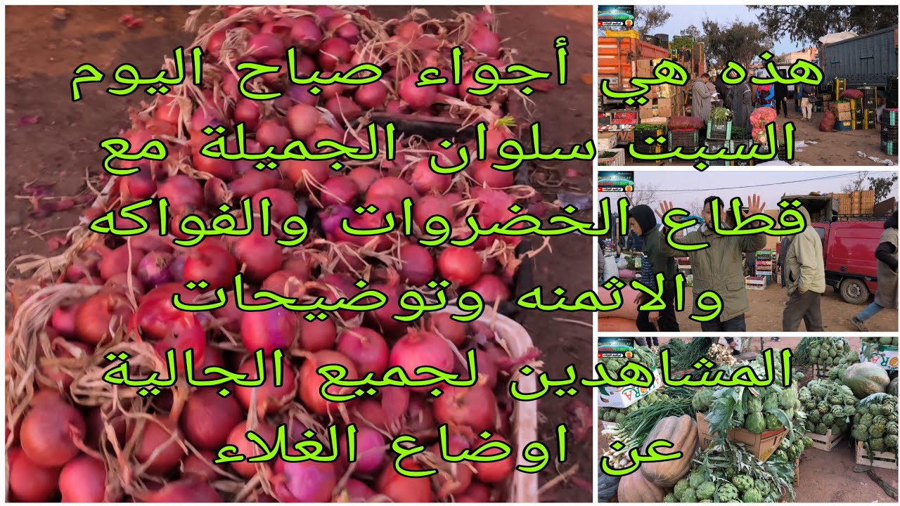 هذه هي أجواء صباح اليوم السبت سلوان الجميلة مع قطاع الخضروات والفواكه والاثمنه وتوضيحات عن الغلاء