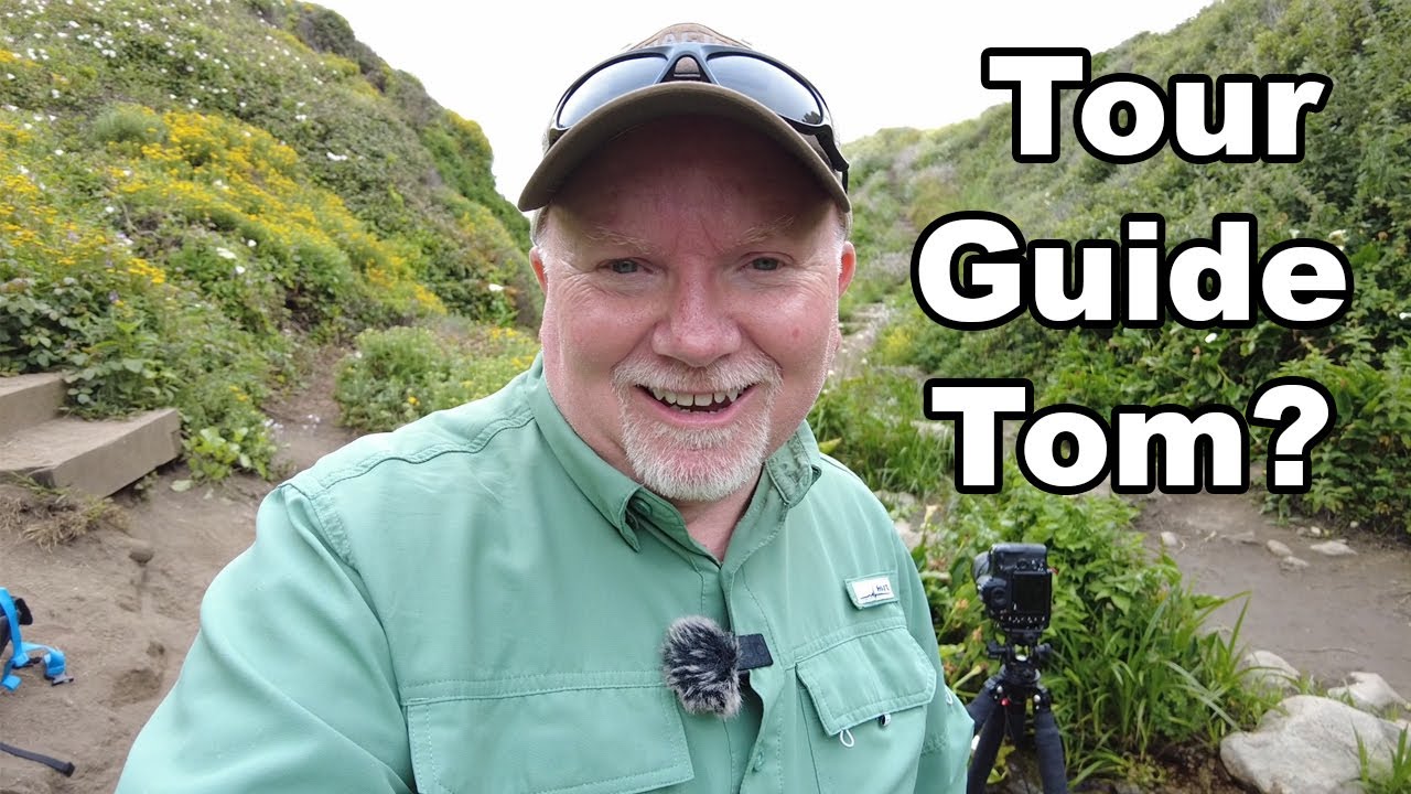 Photographing the Central Coast of California | Landscape and Wildlife Photography