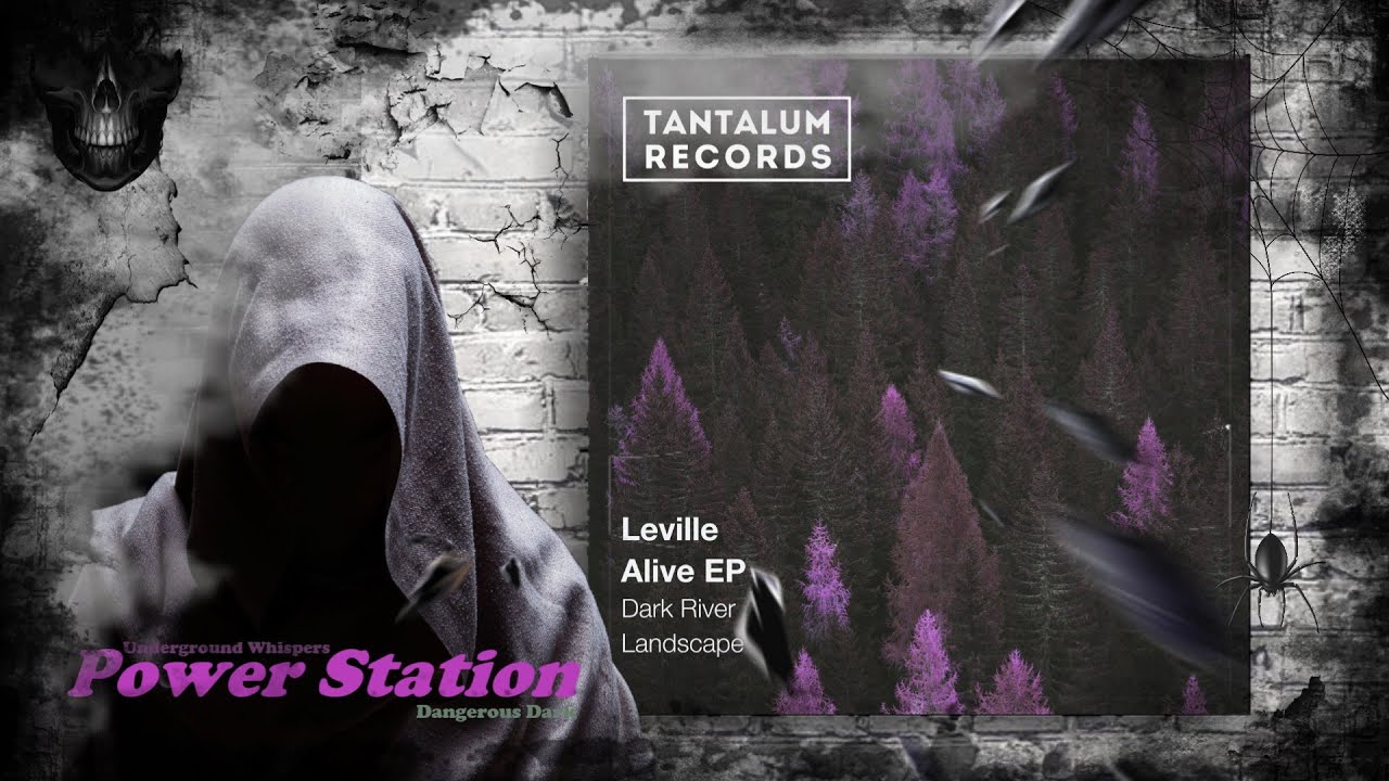 Leville &ndash; Landscape (Original Mix) [Tantalum Records]