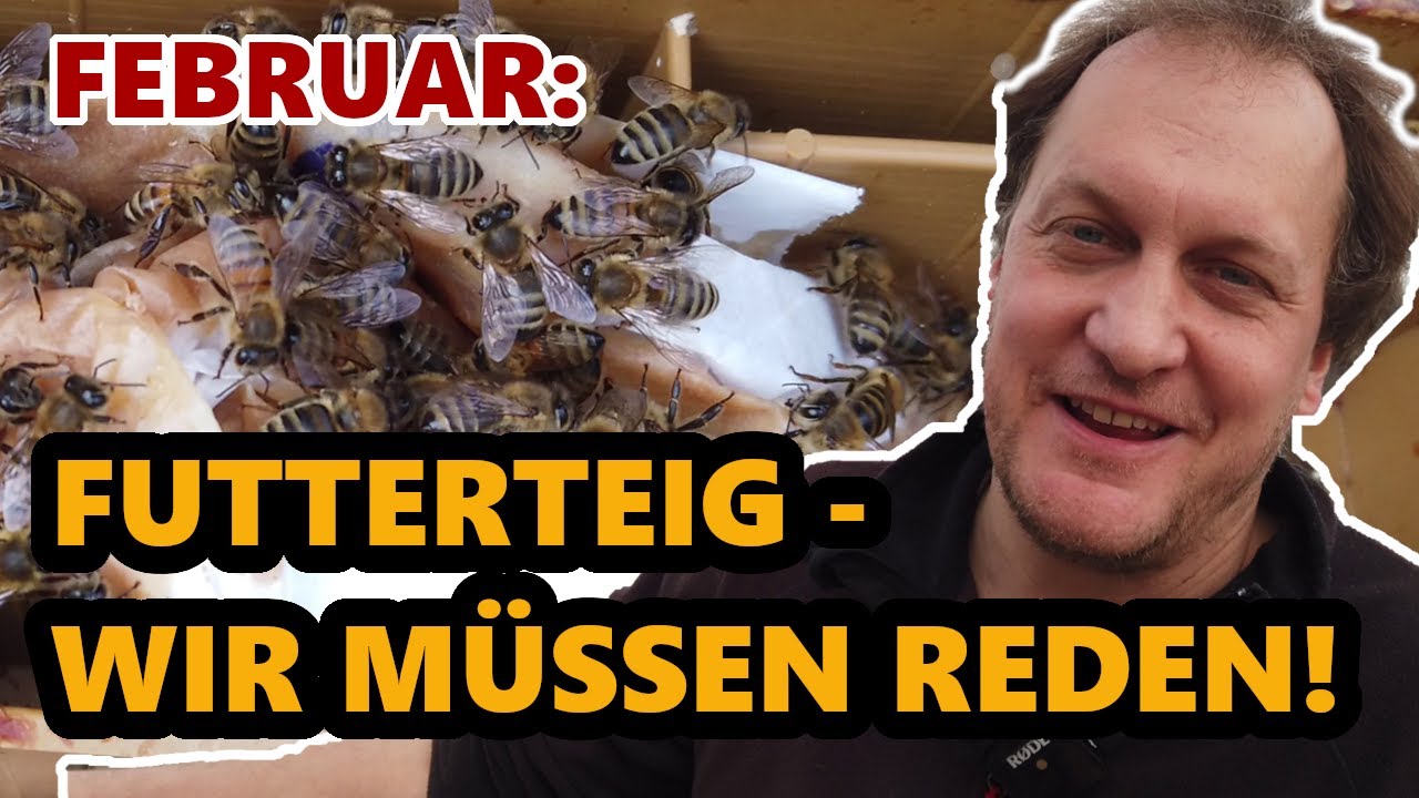 Futterteig Fütterung | Hintergründe |  Vergleichstest | Zwischenergebnis | Neues aus der Imkerei