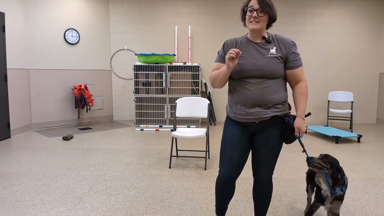 Willow Training 8.5.24