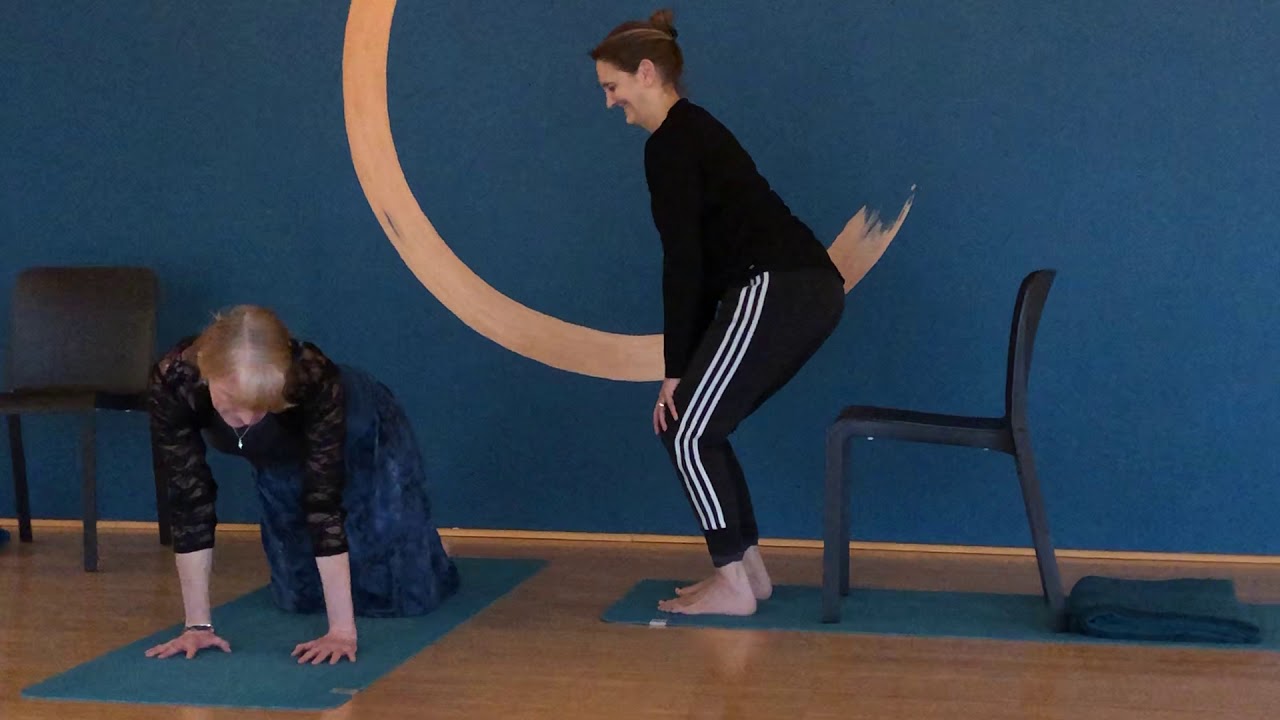 Yoga for Dog Groomers by Abbfabb Grooming Scissors and Space to Move