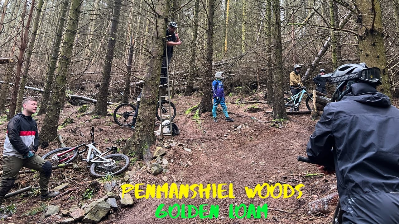 GOLDEN LOAM || PENMANSHIEL WOODS