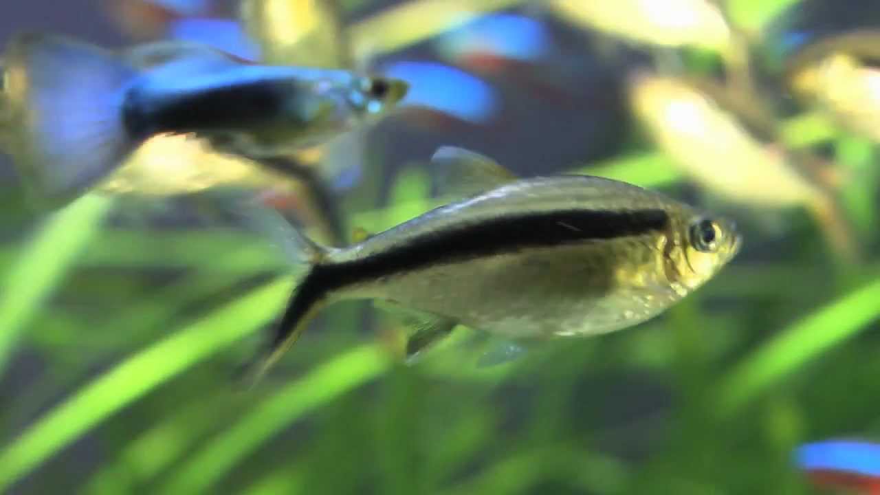 Acondicionamiento del agua con diferentes productos de SERA