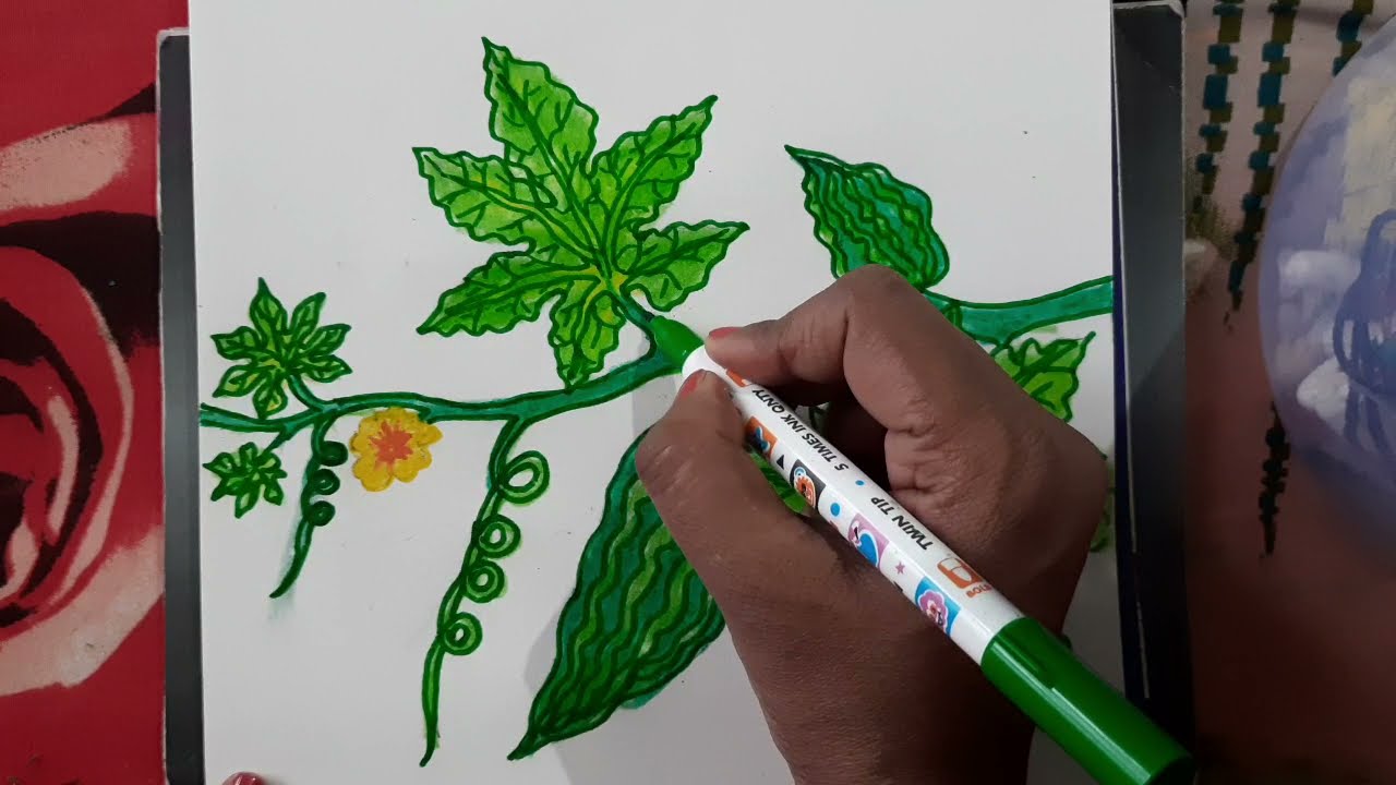 vegetable drawing||vegetable drawing for kids||vegetable drawing and colouring