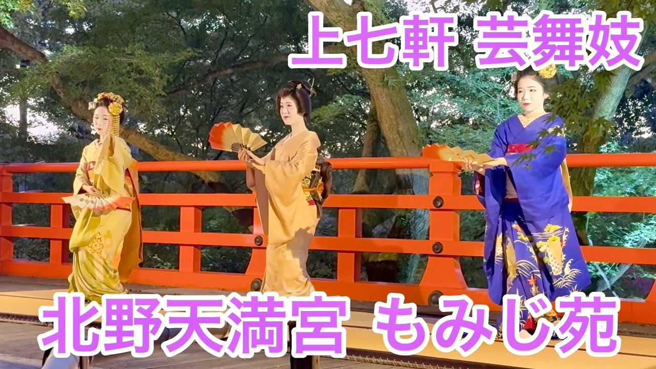 2025年11月1日 ライトアップされたもみじ苑で上七軒の芸舞妓さんたちが舞う 【北野天満宮/もみじ苑】