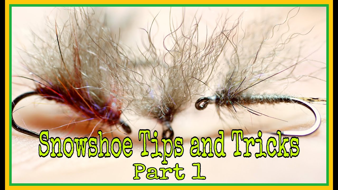 Snowshoe tips and tricks (part 1)